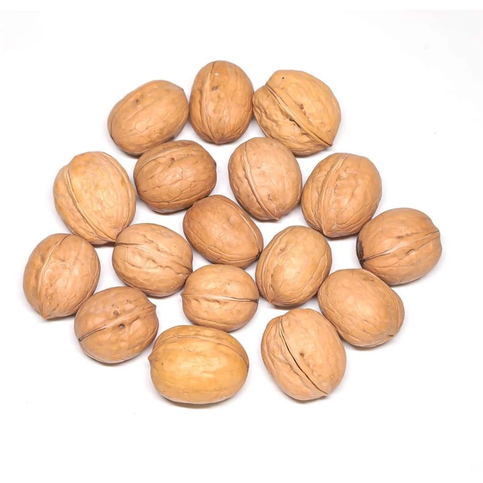 Peeled Walnuts